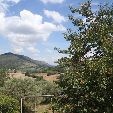 Les Chevrefeuilles Apartman Manosque Kültér fotó