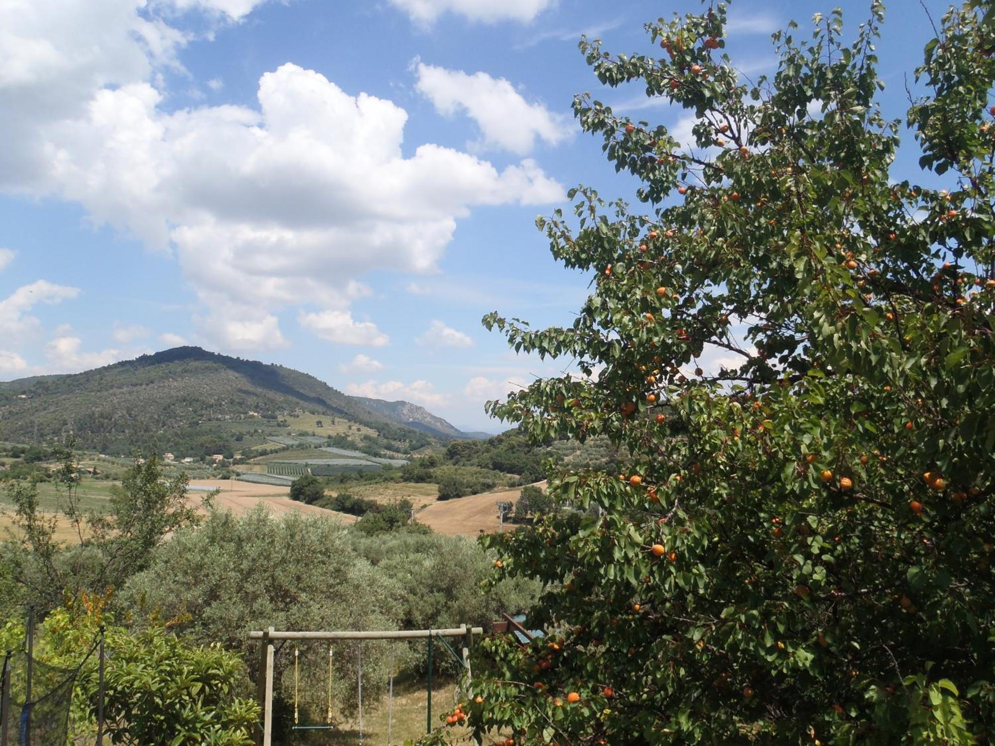 Les Chevrefeuilles Apartman Manosque Kültér fotó