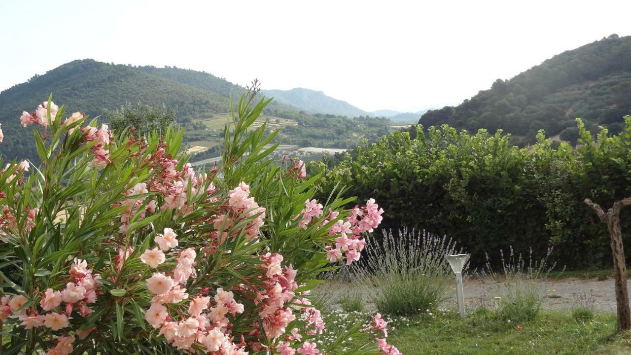 Les Chevrefeuilles Apartman Manosque Kültér fotó